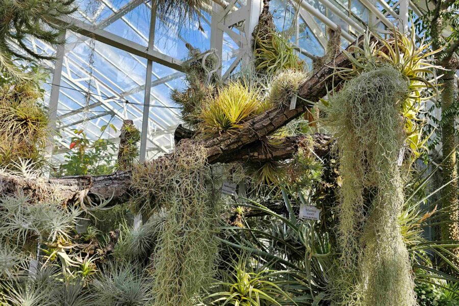 Programm Botanischer Garten MünchenNymphenburg