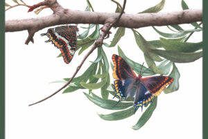 Ausstellungen | Botanischer Garten München-Nymphenburg